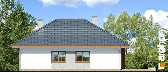 Проєкт будинку Будинок в бузку 2 - Одноповерхові дома у Києві