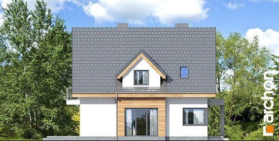 Проект дома Дом в медуницах (Н) - 4 С мансардным этажом дома в Киеве