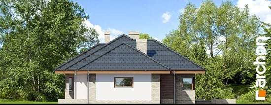 Проект дома Дом под цицербитой (Г2) - 4 Одноэтажные дома в Киеве