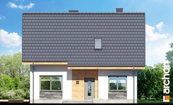 Проект дома Дом в хлорофитуме 3 - 3 С мансардным этажом дома в Киеве