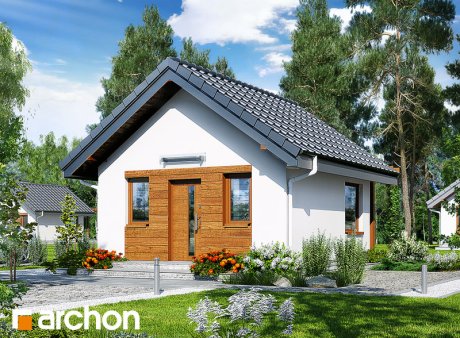 Проект дома Летний домик в крокусах 2