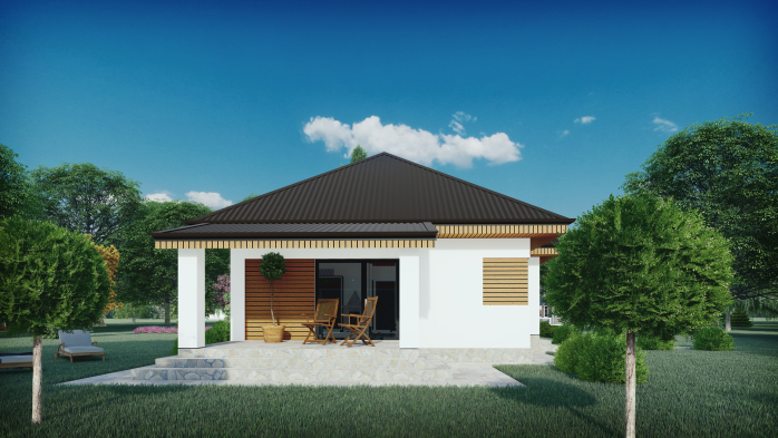 Проєкт будинку DBT 317 - Одноповерхові дома у Києві