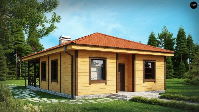 Проект дома U16 - 2 Одноэтажные дома в Киеве