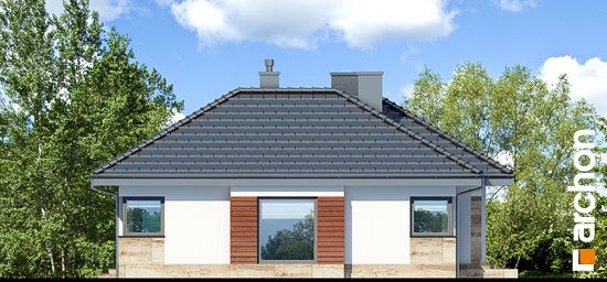Проект дома Дом в грушках - 5 Одноэтажные дома в Киеве