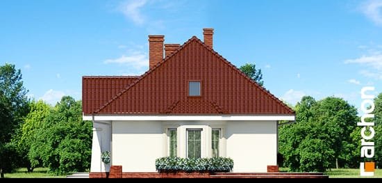 Проект дома Дом в лотосах (Г) вер.2 - 4 С мансардным этажом дома в Киеве