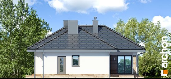 Проект дома Дом в грушках - 4 Одноэтажные дома в Киеве