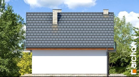 Проект дома Дом в сон-траве (А) - 4 С мансардным этажом дома в Киеве