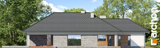 Проект дома Дом в андромедах 2 (Г2) - 5 Одноэтажные дома в Киеве