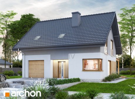 Проект дома Дом в аммобиуме