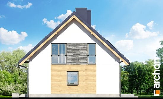 Проект дома Дом в хлорофитуме 3 - 4 С мансардным этажом дома в Киеве