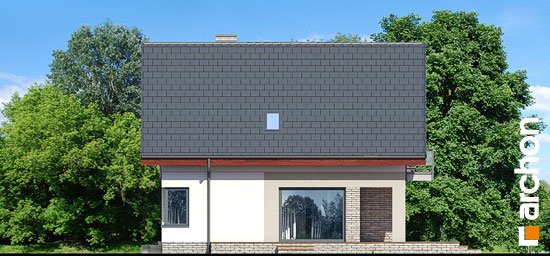 Проект дома Дом в амброзиях - 5 С мансардным этажом дома в Киеве