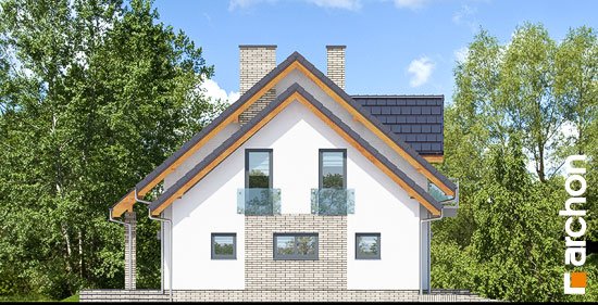 Проект дома Дом в красных кустах - 5 С мансардным этажом дома в Киеве