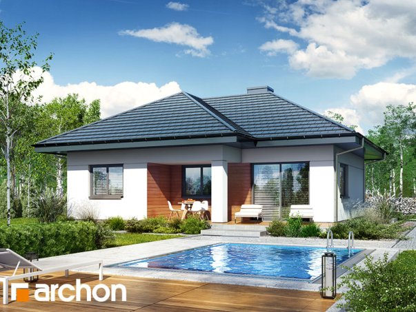 Проект дома Дом в коштелях - 1 Одноэтажные дома в Киеве