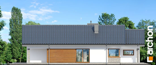 Проект дома Дом в лиредах - 4 Одноэтажные дома в Киеве