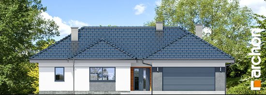 Проект дома Дом в навлоциях (Г2) - 3 Одноэтажные дома в Киеве