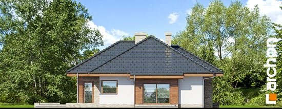 Проект дома Дом под цицербитой (Г2) - 5 Одноэтажные дома в Киеве