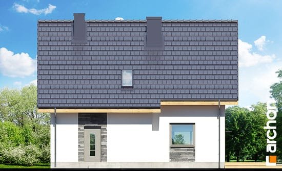 Проект дома Дом в хлорофитуме 3 (T) - 6 С мансардным этажом дома в Киеве