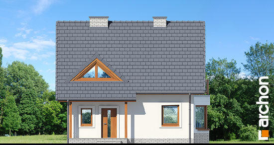 Проект дома Дом под буками 4 вер.2 - 3 С мансардным этажом дома в Киеве