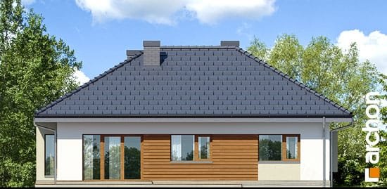 Проект дома Дом под красной рябиной 7 вер.2 - 6 Одноэтажные дома в Киеве