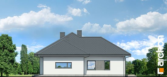 Проект дома Дом в подснежниках 7 (Г2) - 4 Одноэтажные дома в Киеве