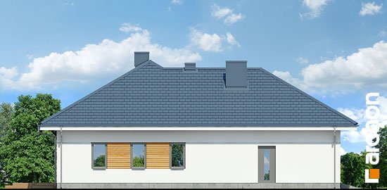 Проєкт будинку Будинок в бірюзі (Г2) - Одноповерхові дома у Києві