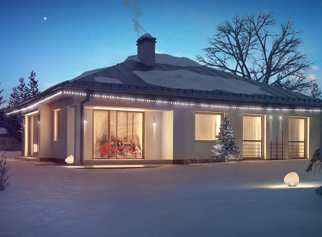 Проєкт будинку U207