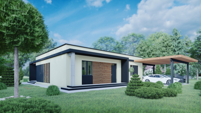 Проект дома DBT 216 - 2 Одноэтажные дома в Киеве