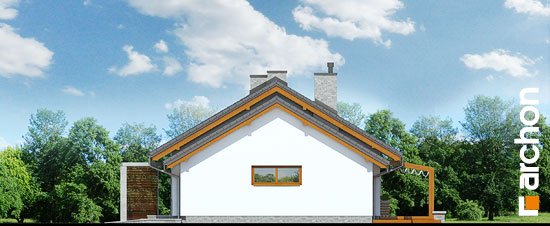 Проект дома Дом в мекинтошах - 4 Одноэтажные дома в Киеве