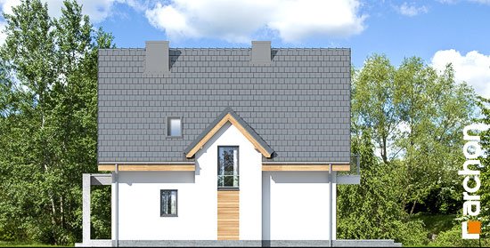 Проект дома Дом в медуницах (Н) - 5 С мансардным этажом дома в Киеве