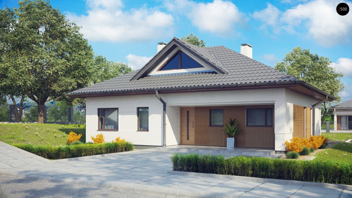Проект дома U230 - 2 Одноэтажные дома в Киеве