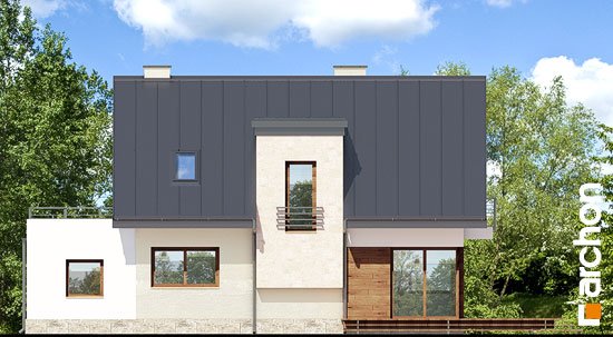 Проект дома Дом в амариллисах 3 вер.2 - 6 С мансардным этажом дома в Киеве