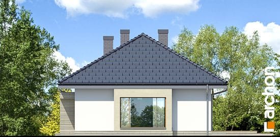 Проект дома Дом под красной рябиной 7 вер.2 - 4 Одноэтажные дома в Киеве