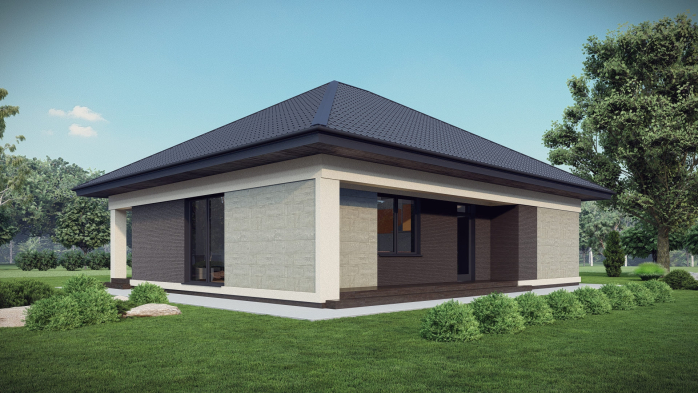 Проєкт будинку DBT 668 - Одноповерхові дома у Києві