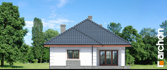 Проект дома Дом в имбире вер.2 - 6 Одноэтажные дома в Киеве
