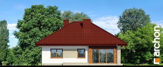 Проект дома Дом в сирени 2 (Г2) - 4 Одноэтажные дома в Киеве