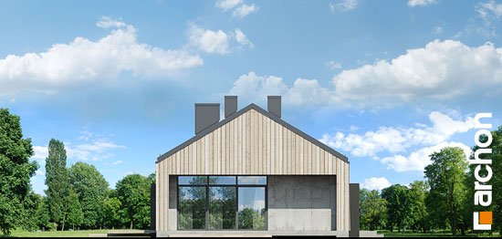 Проект дома Дом в мекинтошах 8 - 5 Одноэтажные дома в Киеве