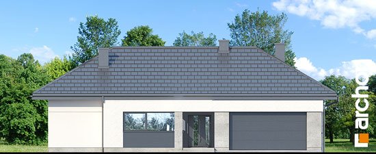 Проект дома Дом в навлоциях 3 (Г2) - 3 Одноэтажные дома в Киеве