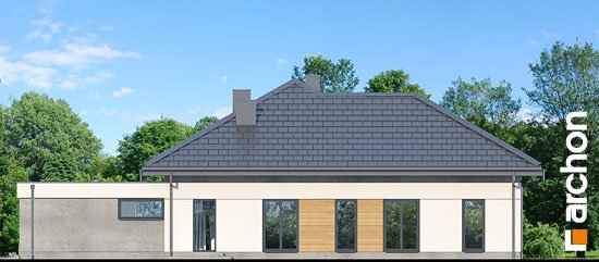 Проект дома Дом в нигеллах (Г2) - 4 Одноэтажные дома в Киеве