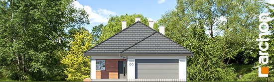 Проект дома Дом в андромедах 2 (Г2) - 3 Одноэтажные дома в Киеве