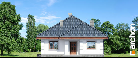 Проект дома Дом в имбире вер.2 - 3 Одноэтажные дома в Киеве