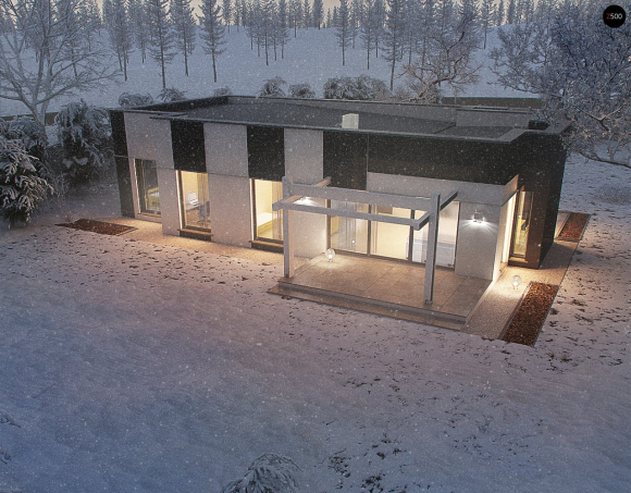 Проект дома Ux116 - 11 Одноэтажные дома в Киеве