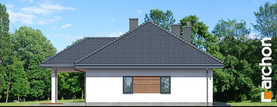 Проект дома Дом в жонкилях (В) - 5 Одноэтажные дома в Киеве