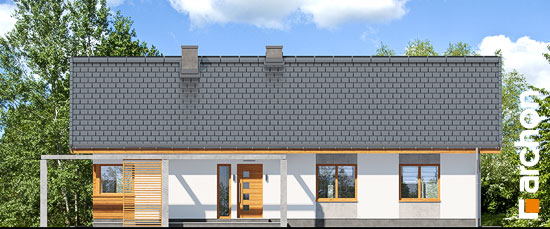 Проект дома Дом в мекинтошах (ВП) - 3 Одноэтажные дома в Киеве