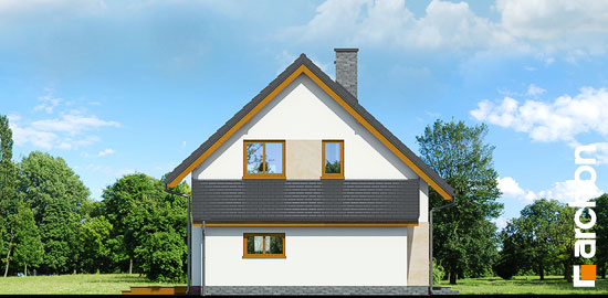 Проект дома Дом в хлорофитуме (ГТ) вер.2 - 5 С мансардным этажом дома в Киеве