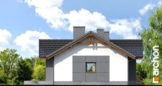 Проект дома Дом в неринах вер.2 - 5 Одноэтажные дома в Киеве