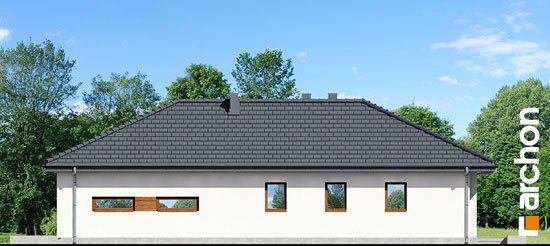 Проект дома Дом под какао вер.2 - 4 Одноэтажные дома в Киеве