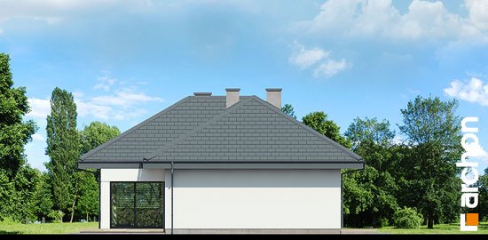 Проєкт будинку Будинок в каландівах - Одноповерхові дома у Києві