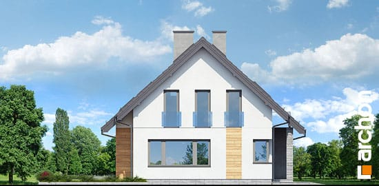 Проект дома Дом в хостах - 5 С мансардным этажом дома в Киеве