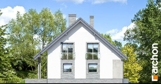 Проект дома Дом в айдаредах 4 (П) - 5 С мансардным этажом дома в Киеве