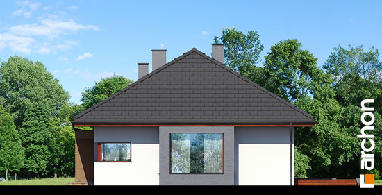 Проект дома Дом под красной рябиной (Н) вер.2 - 4 Одноэтажные дома в Киеве